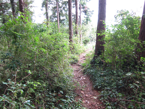 20191017hike (117)